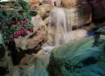 SEA LIFE at Mall of America