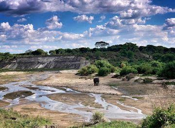 tanzania/rift-valley/attraction/mto-tarangire