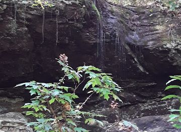 alabama/sipsey-wilderness/attraction/mcdougle-hunter-camp