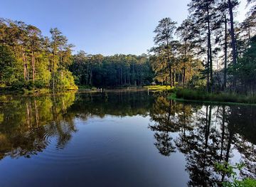 mississippi/desoto-national-forest/attraction/homochitto-national-forest