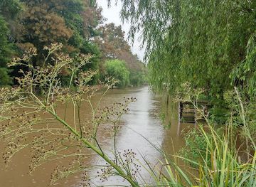 argentina/tigre/attraction/canal-rompani