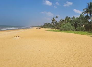 sri-lanka/kalutara-district/attraction/thalpitiya-beach