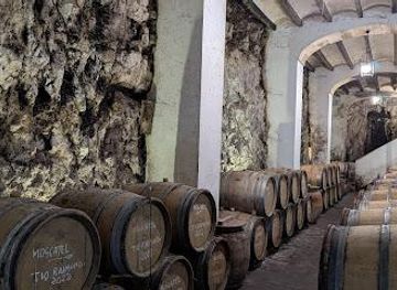 spain/costa-blanca/attraction/bodegas-gutierrez-de-la-vega