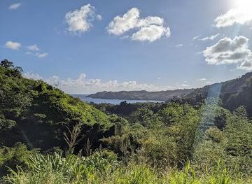 trinidad-and-tobago/scarborough/attraction/shurland-james-hummingbird-nature-park