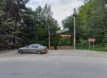 romania/transfagarasan-highway/attraction/ponton-valea-cu-pesti