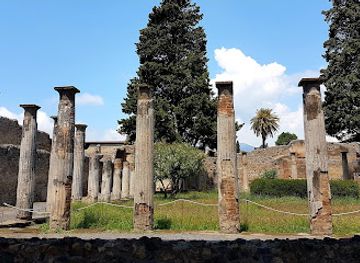 italy/pompeii/pompeii-archaeological-park/attraction/casa-della-fontana-grande