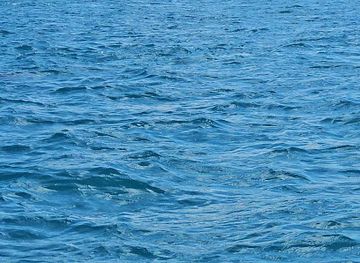 mauritius/ile-aux-cerfs/attraction/dolphins