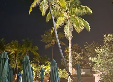 the-bahamas/nassau-and-paradise-island/attraction/pool