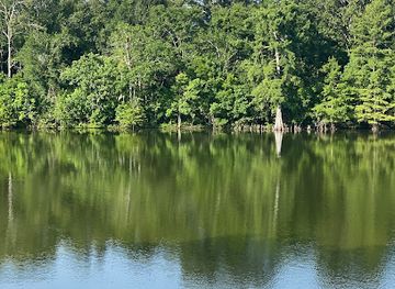 louisiana/pearl-river-wildlife-management-area/attraction/boeuf-wildlife-management-area