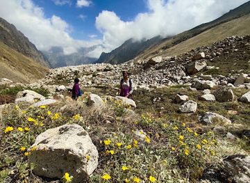 india/valley-of-flowers-national-park/attraction/flowers-valley
