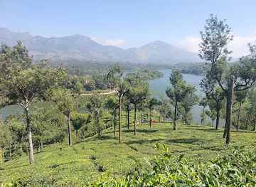 india/munnar/attraction/view-of-munnar