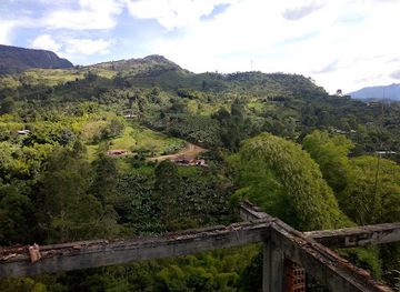 colombia/andean-region/attraction/reserva-natural-jardin-de-rocas-avistamiento-del-gallito-de-roca