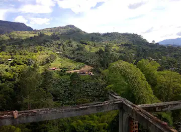 Reserva Natural Jardín de Rocas (Avistamiento del Gallito de Roca)
