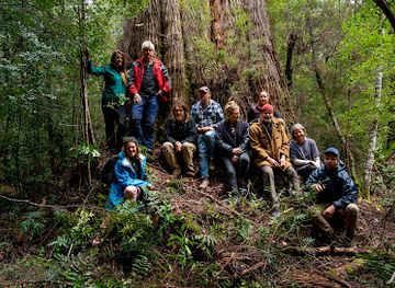 australia/mount-field-national-park/attraction/tyenna-big-tree-reserve