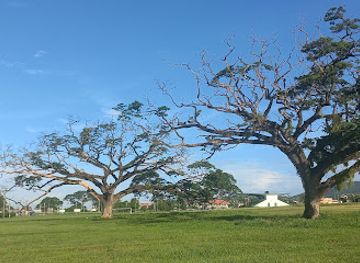 trinidad-and-tobago/tunapuna/attraction/aranguez-savannah