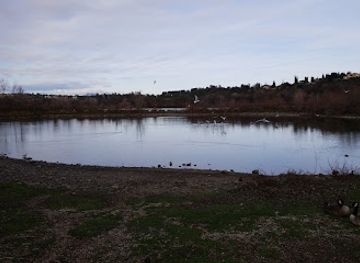 california/redding/attraction/bird-park