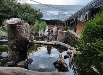 japan/harima/attraction/kobe-animal-kingdom