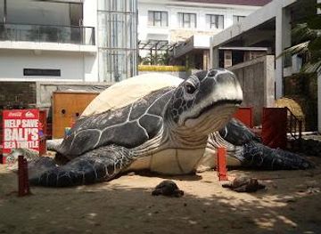 indonesia/bali/attraction/bali-sea-turtle-society