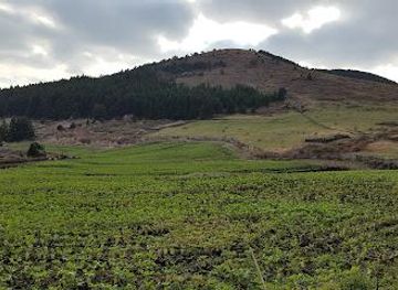 south-korea/jeju-city/attraction/baekyaki-oreum-volcanic-cone