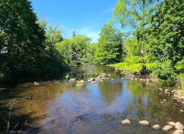 michigan/kalamazoo/attraction/milham-park