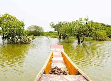 bangladesh/sylhet/attraction/ratargul-swamp-forest