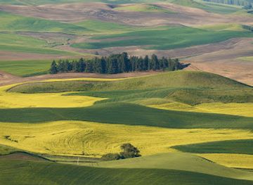 idaho/palouse/attraction/steptoe-butte-state-park