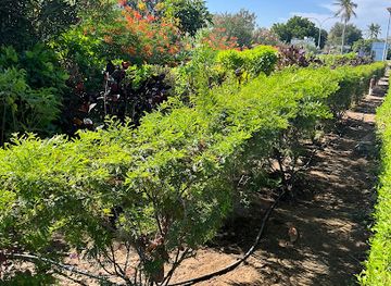 oman/muscat/attraction/shati