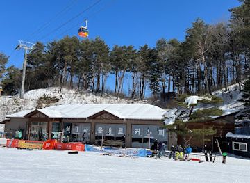 south-korea/pyeongchang-ski-resorts/attraction/mona-park
