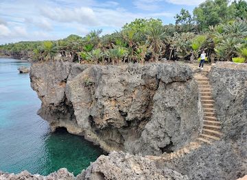 philippines/siquijor/attraction/pitogo-cliff-nature-park