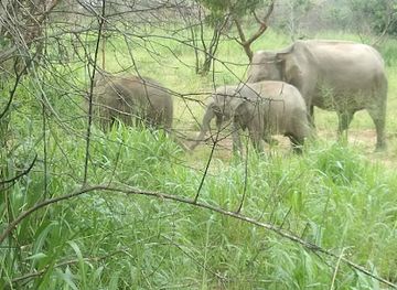 sri-lanka/minneriya-national-park/attraction/gal-oya-eco-park