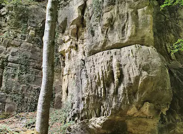 Heringerburg Ruine