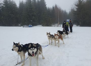 romania/harghita/attraction/gogoasa-de-zapada-snowtubing-hopanko