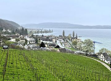 switzerland/thurgau/attraction/grand-tour-of-switzerland-photo-spot-lake-constance-untersee-region