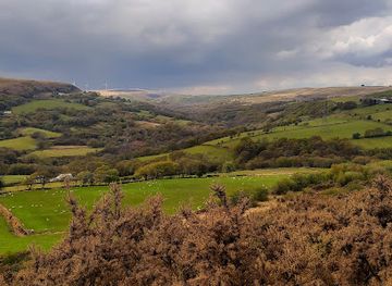 united-kingdom/west-glamorgan/attraction/rspb-cwm-clydach