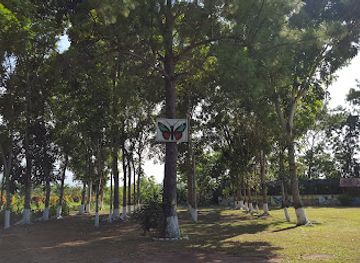 honduras/la-ceiba/attraction/museo-de-entomologia-del-curla