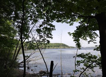 michigan/pere-marquette-state-forest/attraction/pere-marquette-conservation-park