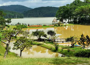 Golden Valley