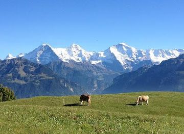switzerland/grindelwald/attraction/pure-switzerland-tours-guiding