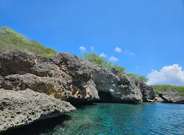 Capt Goodlife boat excursion
