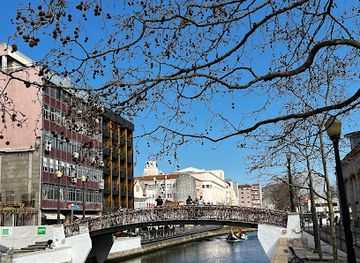portugal/aveiro/attraction/ponte-lacos-de-irene
