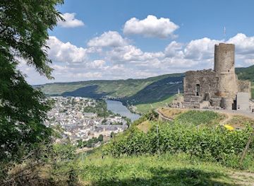 germany/moselle/attraction/burg-landshut
