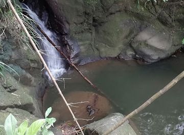 grenada/saint-david/attraction/castaigne-waterfall