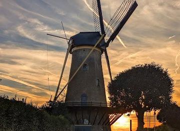 netherlands/rotterdam/attraction/den-haas-zierikzee