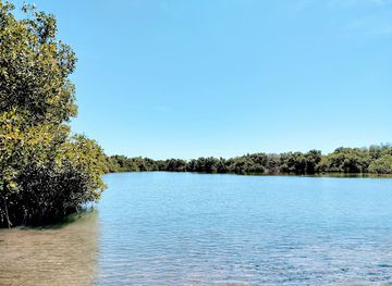 puerto-rico/cabo-rojo/attraction/playa-la-pitahaya