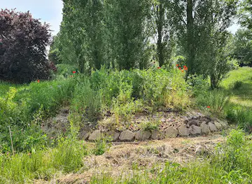 Ecoruïne
