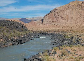 argentina/western-argentina/attraction/provincial-reserve-la-payunia