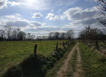 Honegem Natuurpunt