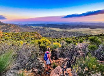 australia/flinders-ranges/attraction/mount-ohlssen-bagge-hike