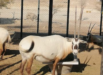 qatar/dukhan-beach/attraction/i-park