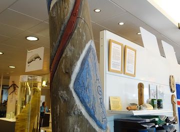 iceland/borgarfjörður/attraction/the-icelandic-phallological-museum-hio-islenzka-reoasafn